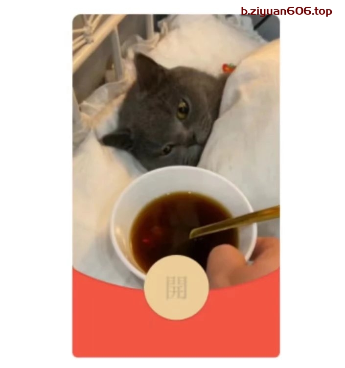 小猫抱枕红包封面